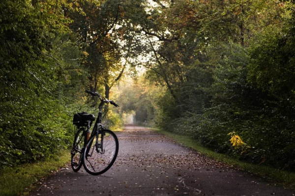 Trek Marlin w Gdyni: serwis, porównanie z Madone i wypożyczalnia e-bike